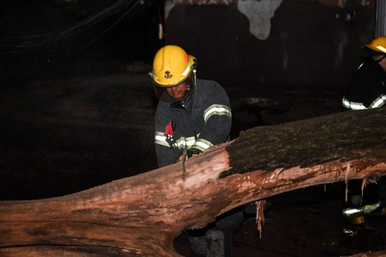 Temporal en Villa Mercedes: Activaron protocolo de contingencia por caída de árboles y postes