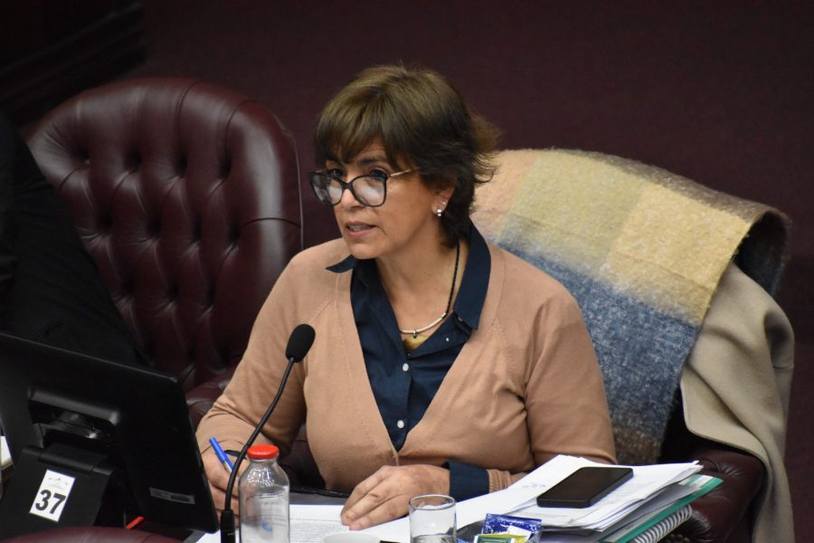 Eugenia Gallardo explicó el RIPEE en San Luis y sus beneficios para inversiones