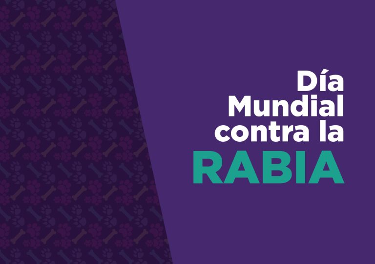 Día Mundial contra la Rabia: por qué la vacunación de perros y gatos es clave